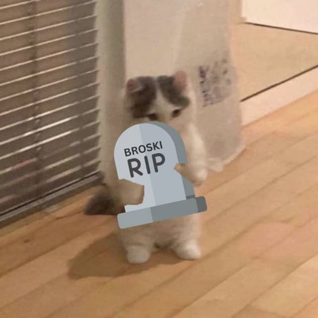 Broski hijacks socials